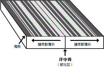 洋中脊示意图